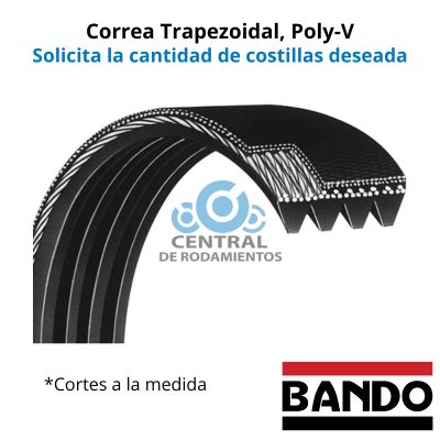 Correa trapezoidal Poly-V, 785J, Longitud externa 78.5 pulgadas, bando, cantidad de costillas según lo requerido, cortes a la medida