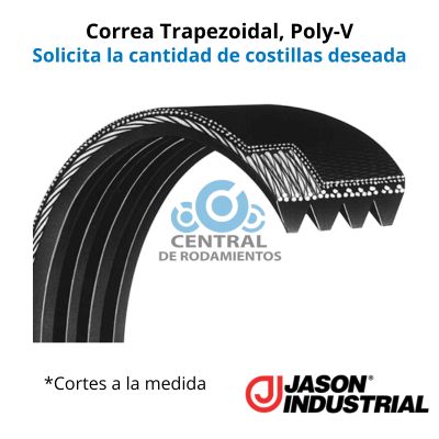 Correa trapezoidal Poly-V, 280J, Longitud externa 28 pulgadas, jason, cantidad de costillas según lo requerido, cortes a la medida