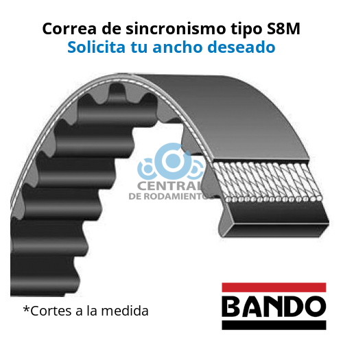 Manga de sincronismo, S8M-1160, Longitud 1160 mm, Número de dientes 145, BANDO, Cortes a la medida según el ancho deseado