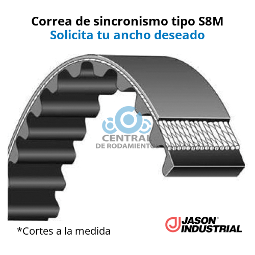Manga de sincronismo, S8M1160, Longitud 1160 mm, Número de dientes 145, JASON, Cortes a la medida según el ancho deseado